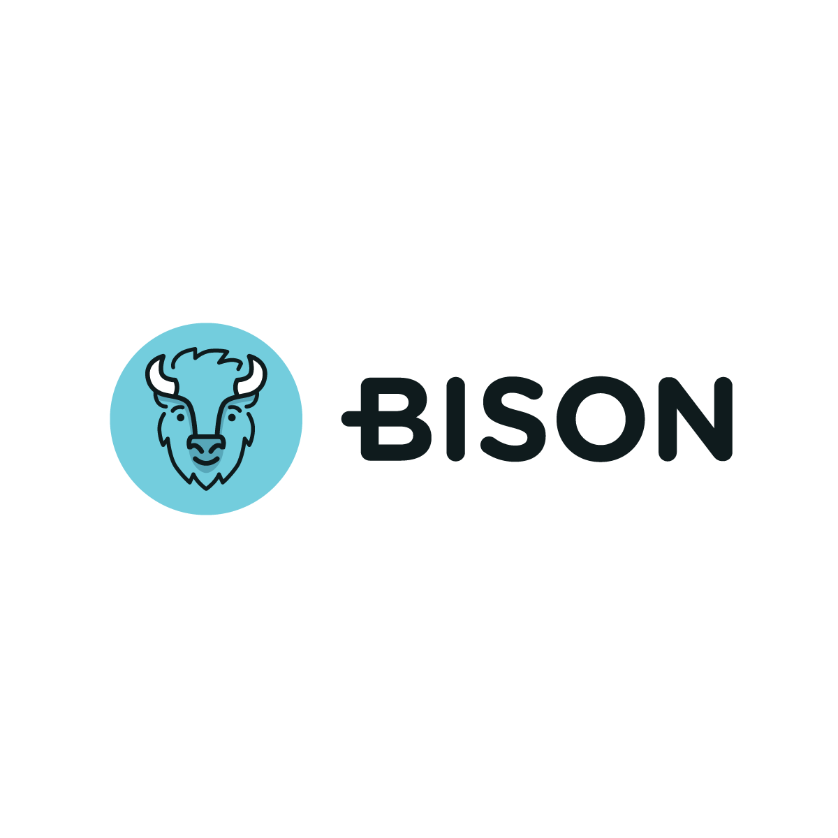 Bison